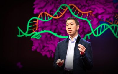 Un método en la locura de las enfermedades raras