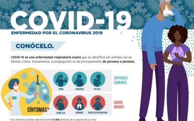 Infografia – COVID-19 Enfermedad por el coronavirus 2019: Conócelo