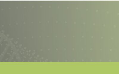 CONVOCATORIA PARA PARTICIPAR EN EL SEMINARIO ON-LINE DE “ANÁLISIS DE DECISIÓN MULTICRITERIO”