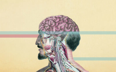 Los 100 mejores médicos de España, por especialidades