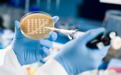 Tres nuevos medicamentos para luchar contra las «superbacterias» resistentes a los antibióticos