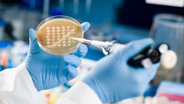 Tres nuevos medicamentos para luchar contra las «superbacterias» resistentes a los antibióticos