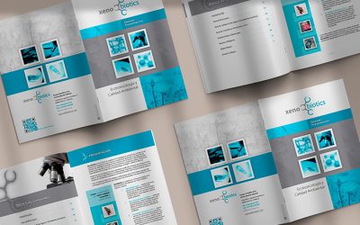 ¿Qué es un Dossier de Valor y por qué es clave para el acceso al mercado?